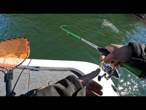 Bass fishing in February giant bass gets caught!😳