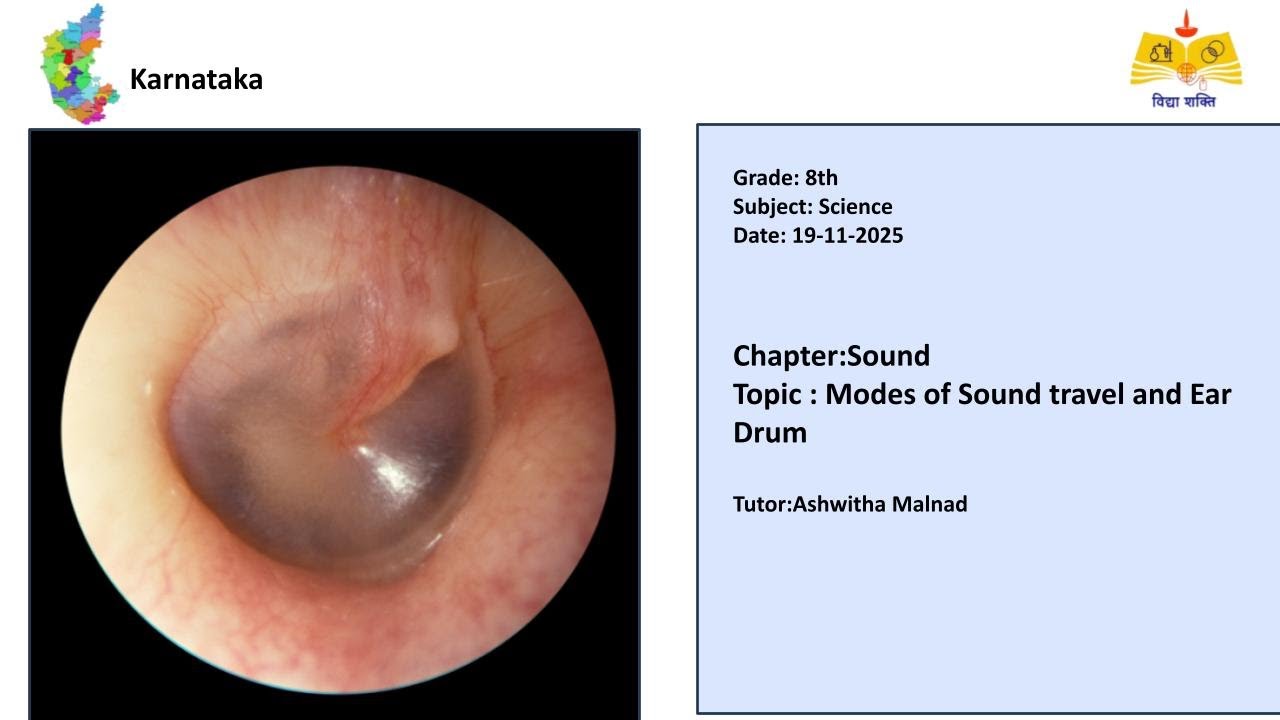 (08th Science KREIS)Sound
