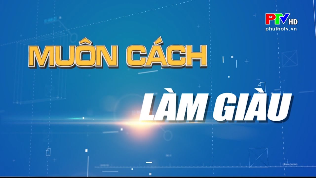 Công nghệ tưới tự động trong trồng bưởi|Nông nghiệp Phú Thọ