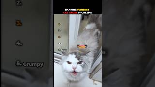 Ranking Funniest Cat Anger Problems