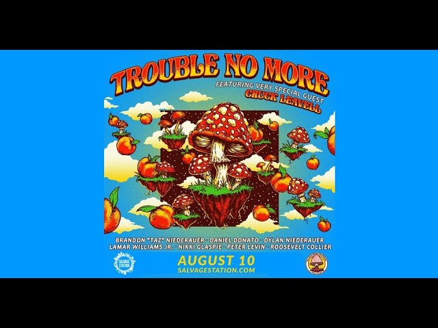 洋楽 Allman Brothers Band Trouble No More The Allman Brothers - Trouble No More - YouTube