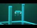 Stray - The Flat