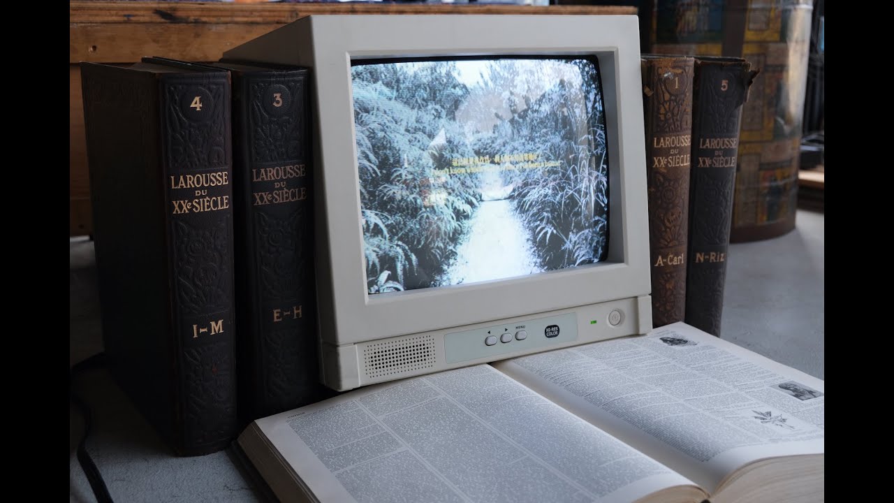 What are the differences?