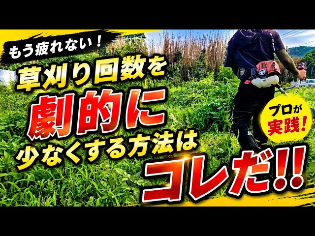 Dramatically Cut Weeding] Here Are 6 Ways to Reduce Mowing!! Cut