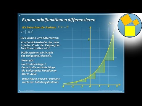 Bakterienwachstum der Dünndarmdiät