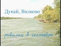 Дунай, Вилково. Рыбалка с комфортом. День первый, начало.