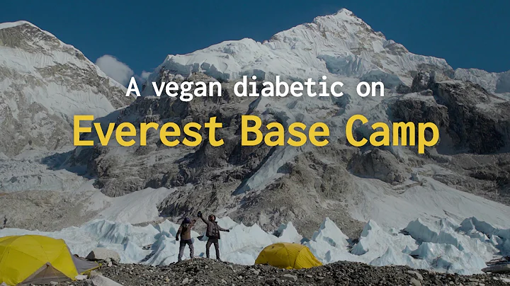 Everest Base Camp 2017 as a diabetic vegan