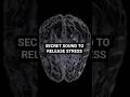 SECRET SOUND TO RELEASE STRESS #stress #sound