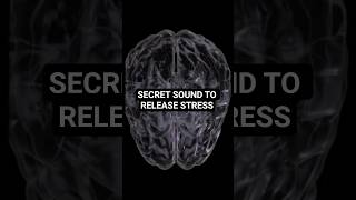 Secret Sound To Release Stress