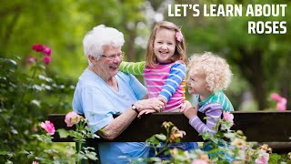 LET'S LEARN ABOUT ROSES | ENGLISH VOCABULARY