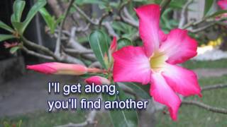 For The Good Times - Kristofferson Cover - By Ferry Verschuyl