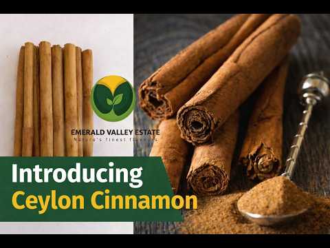 Authentic Ceylon Cinnamon   Grown In Emerald Valley Estate