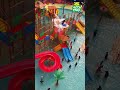 Out of Office fun at Wet-O-Wild | Nicco Park | Kolkata