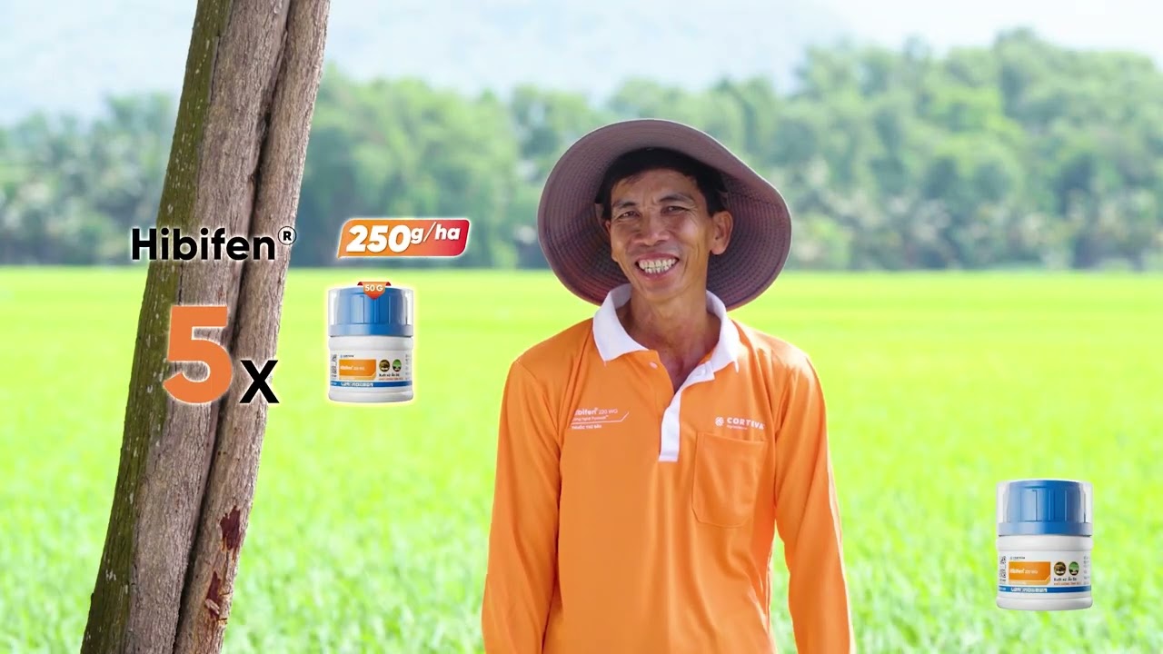 TGT HIBIFEN 220WG - Sạch Rầy Nâu, Quản Lý Sâu Cuốn