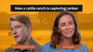 Part 6: Carbon Sequestration | Understanding the Carbon Cycle on a Cattle Ranch