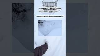 J'ai filmé ces grosses empreintes dans Lanaudière. besoin d'identifier l'animal ? #faune #wildlife