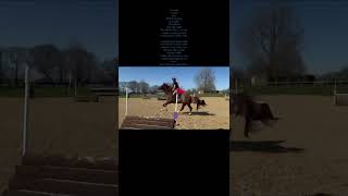 Advert Reference - 403682