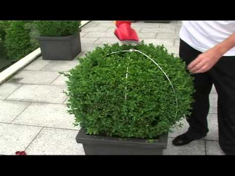 Topiary Formschnitt-Schablone Kugel OFFEN 70cm Buchsbaum schneiden formschablone 