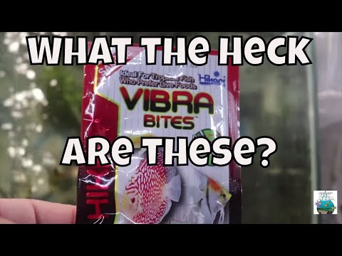 HIKARI VIBRA BITES REVIEW, WORM LIKE STICKS?