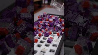 Wooting 80HE with TTC King switches and KOL Zero Division keycaps. Sound Test. #wooting #mechkeebs