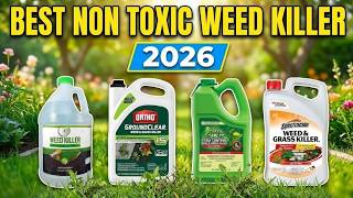 Best Non Toxic Weed Killer 2026: Kill Weeds Fast Naturally