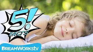 5 Crazy But True Facts About Dreams You Need to Know | 5 FACTS