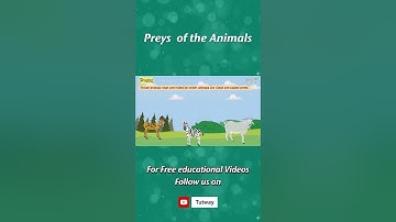 Preys | Characteristics of Animals | Predators, Preys | Preys of the Animals | Science #shorts