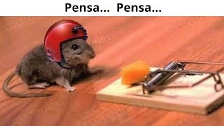 MEMES VARIADOS #383