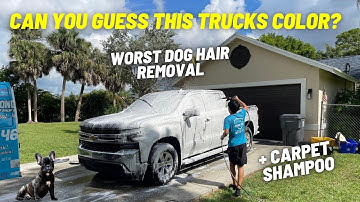 Three Services In One Detailing Appointment - Detailing Beyond Limits