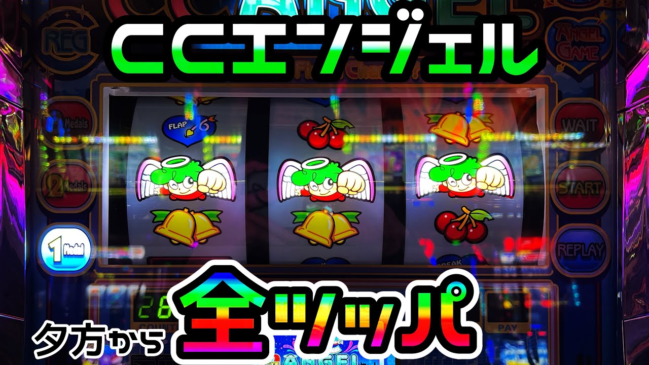 新台CCエンジェル】A PROJECT機種のみで設定狙い（4日目） - YouTube