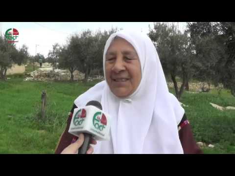 فلسطين المحتلة  خبز الطابون… لقمة مجبولة بالصحة وعبق التراث