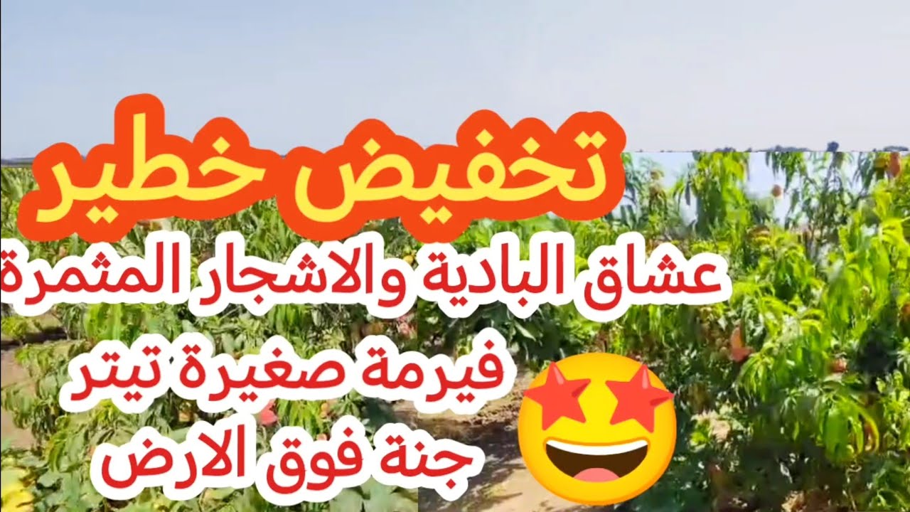 🛑عاجل تخفيض ممتاز🛑لعشاق البادية هده الهمزة ديالكم 👌