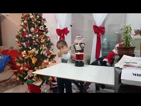 Vídeo: O canadense coletou uma coleção de discos de Papai Noel