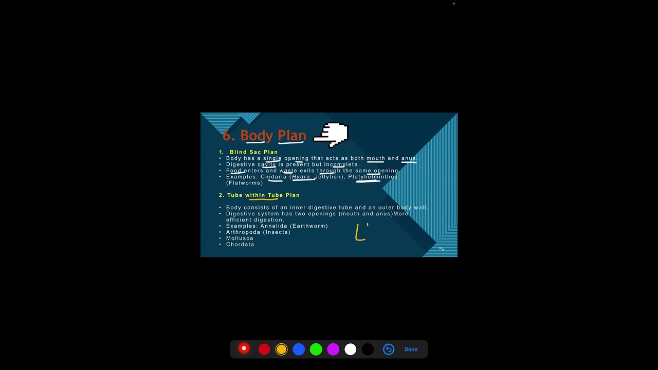 One term. One concept. Types of body plan ￼✌️✌️ 