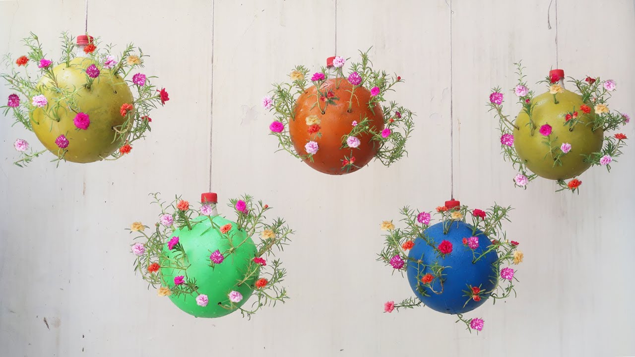 Фантастические идеи по выращиванию черенков Portulaca Grandiflora в пластиковых шариках