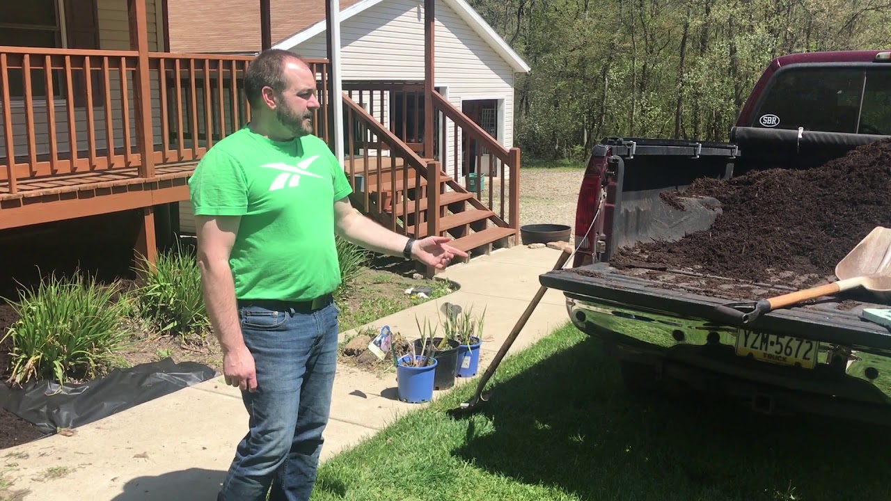 1 DIY Basic Landscaping, Part 1. Removing sod, placing landscape