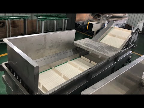 不銹鋼型塑板帶浸水式鵝頸輸送機