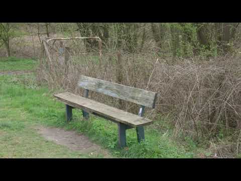 Sundern Herringen 30.03.20