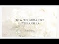 How to Arrange Hydrangeas | 2 Easy Flower Arranging Ideas and Tutorials