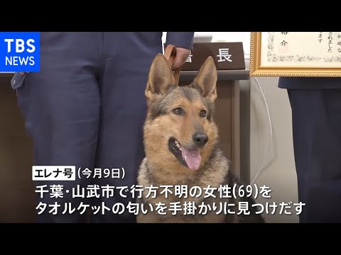 お手柄 嘱託警察犬に感謝状 行方不明69歳女性をタオルケットの匂いから発見 Youtube