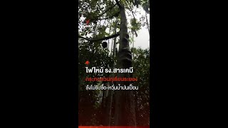 ไฟไหม้ รง.สารเคมี กระทบสวนทุเรียนระยอง ล้งไม่รับซื้อ-หวั่นน้ำปนเปื้อน I Thai PBS news