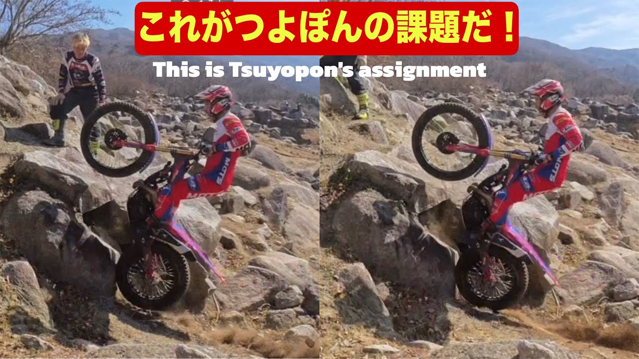 これがつよぽんの課題だ！This is Tsuyopon's assignment