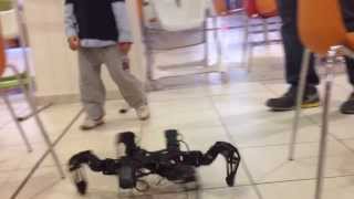 phantomx hexapod Türkiye