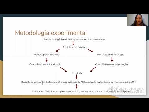 Vídeo: Un Análisis Modular De La Expresión Génica De Microglia, Ideas Sobre El Fenotipo Envejecido