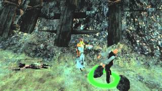 Guild Wars 2 : Funny Bug