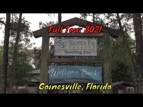 Santa Fe College Teaching Zoo Full Tour - Gainesville, Florida