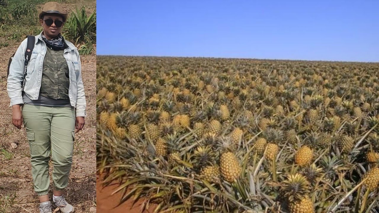 Umu DIASPORA avuye muri Canada aje mu Burundi KURIMA no kworora||Raba ama Hectares(HA)Y'Imirima yiwe