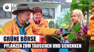 Die Gartenfreunde Pflanzentauschbörse In Augsburg-Bergheim A.tv