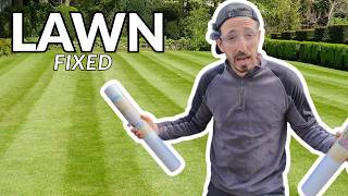 Get Your Lawn Sorted This AUTUMN | Perfect Guide To Renovating Your Lawn