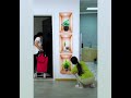 Video Image